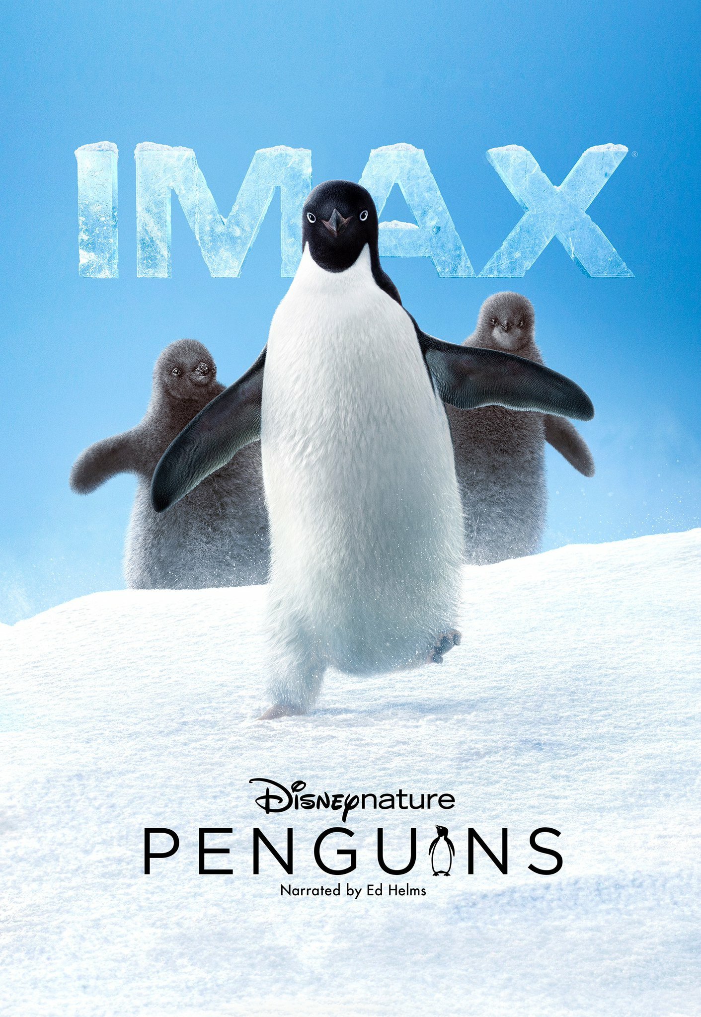 纪录片《企鹅》（2019）